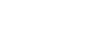 Shockwave-Logos